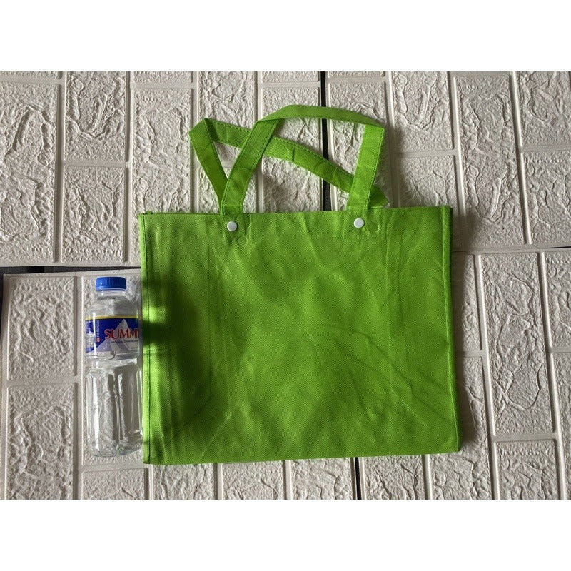 HE#4 | 10pcs Pack Non-Woven Lunch Bag for Students | Reusable Eco-Friendly Tote with Snap Closure
