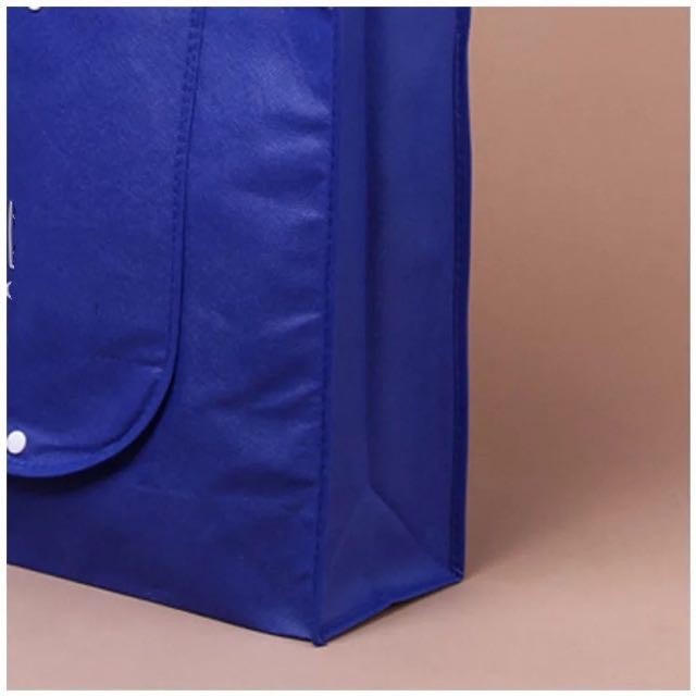 10pcs Pack EB#1 Foldable Non-Woven Shopping Tote Bag | Reusable Eco-Friendly Grocery Bag with Snap Closure